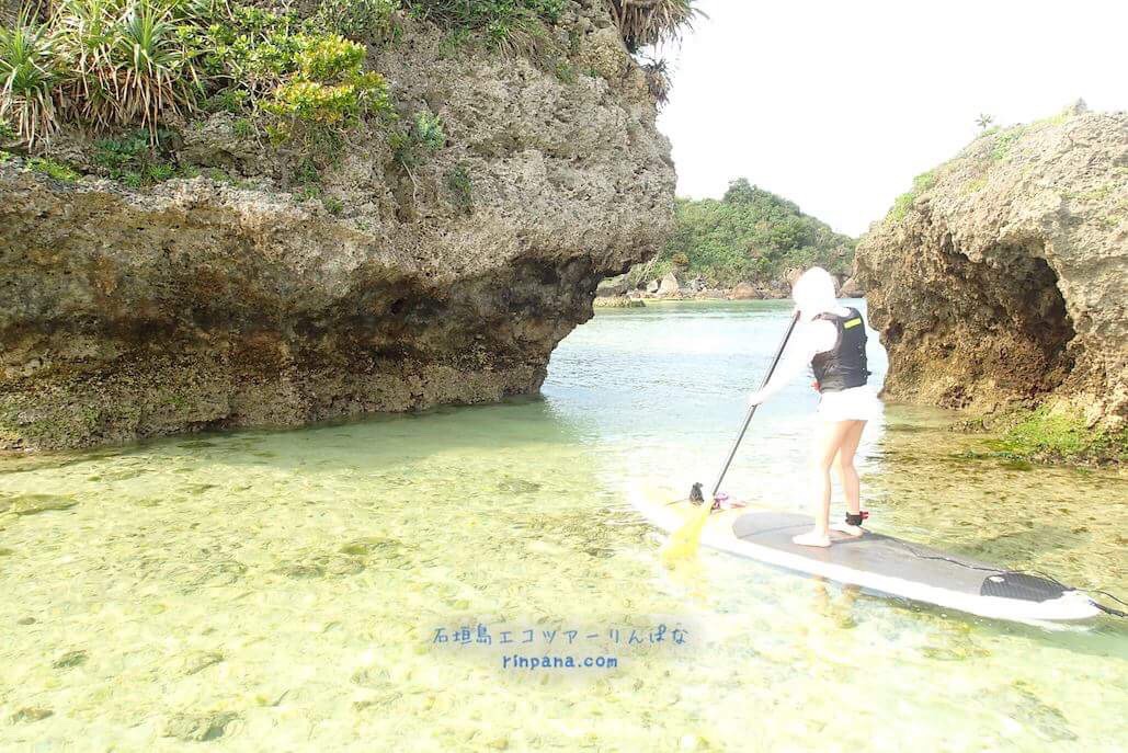 image1 (17)